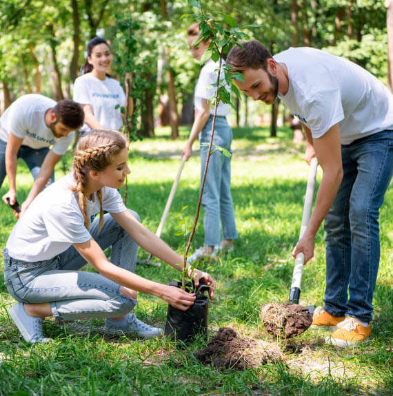 Gestión Social / Política